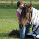 Symptoms and prevention tips for winter colic