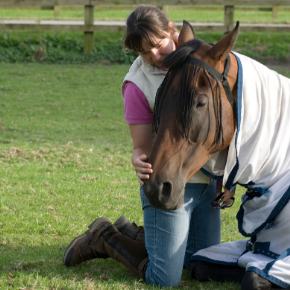 Symptoms and prevention tips for winter colic