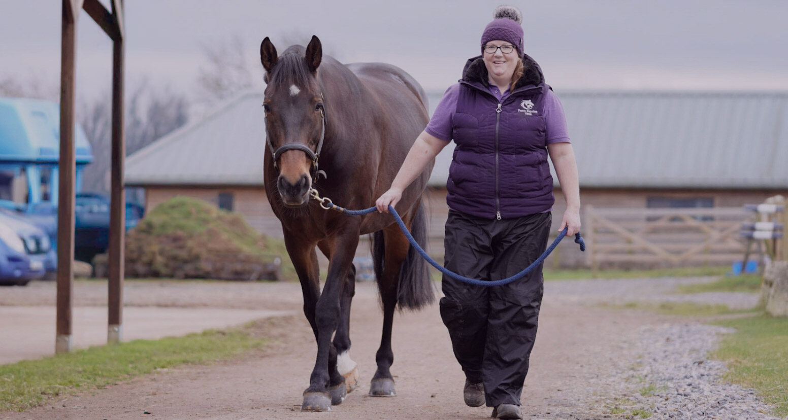 Equine veterinary services in Somerset & Wiltshire